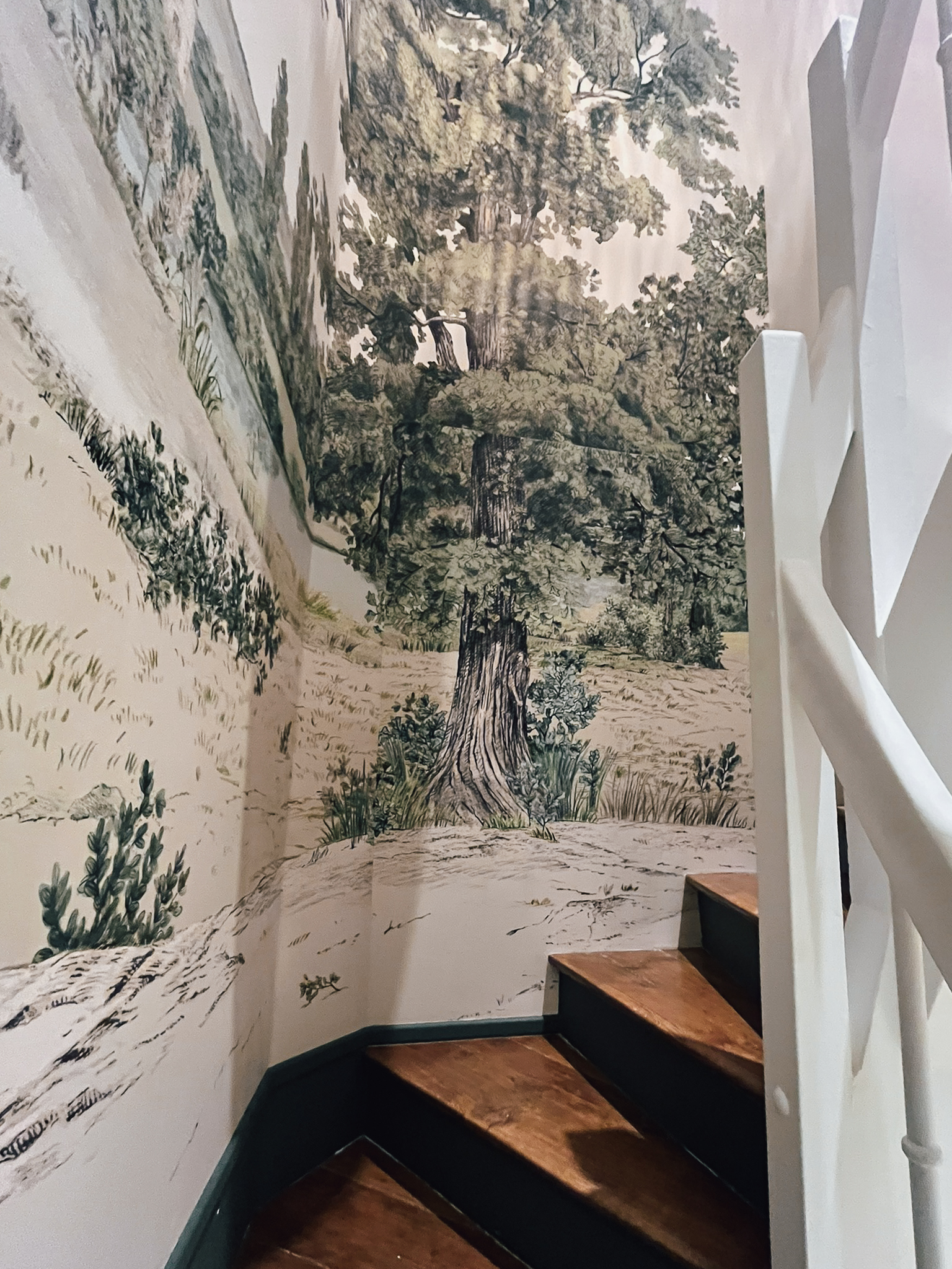 Aménagement sous escalier présenté au showroom Intérieurs Privés Paris 6, intégrant un papier peint panoramique à motif végétal. Une solution décorative sur mesure pour transformer un espace de circulation en élément architectural fort.